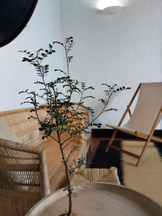 Casa Yooj Designers House In Teguise Teguise (Lanzarote) Exterior foto